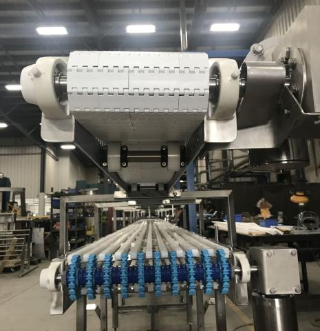 Conveyor for Industrial Food Processing plant